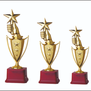 awards store near me sports trophy shop near me sports trophies near me